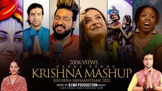 Banke Bihari Mashup  Krishna Mashup  Krishna Janmashtami Mashup Remix  Banke Bihari Mashup Dj MR [upl. by Salohcim583]