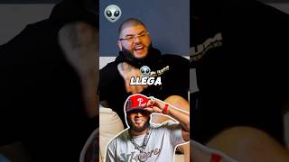 El alfa farruko habla de la canción Xoxo elalfaeljefe alofokeradioshow alofoke yailinlamásviral [upl. by Fleece]