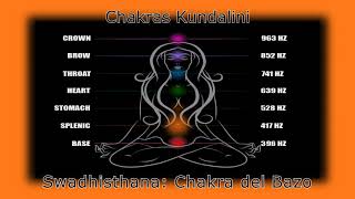 Frecuencias Puras para Limpiar Equilibrar y Activar los 7 Chakras Kundalini [upl. by Aihsekan]