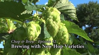 Chop amp Brew  Episode 32 Brewing with New Hop Varieties [upl. by Adnahsar]