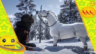 Red Dead Redemption 2  Find Arabian White horse 🐎 location 🤐 [upl. by Dotson]