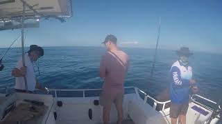 Spottie Mackerel  Deep End Fishing Mooloolaba Australia [upl. by Van486]