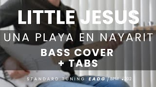 Little Jesus  Una Playa En Nayarit BASS COVER  TABS [upl. by Olnay738]