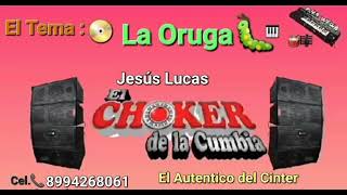 El Choker de la Cumbia🐛 La Oruga 🐛 [upl. by Faux]