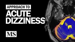 Approach to Acute Dizziness [upl. by Pool166]