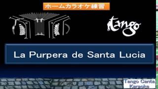 ホームカラオケ練習 La Pulpera de Santa LuciaKaraoke Japones ver [upl. by Kore924]