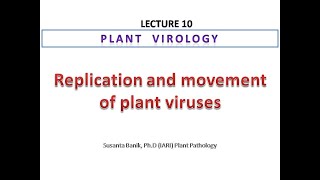 Replication and movement of plant viruses [upl. by Echo]