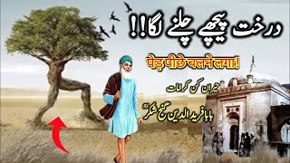 Hazrat Baba Farid Karamat Darkht Piche Chalne Laga  Baba Farid Ka Waqia  Baba fareed Ki Karamat [upl. by Treacy]