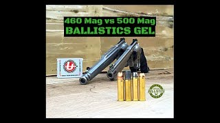 460 SampW Magnum vs 500 SampW Magnum Ballistics Gel [upl. by Danby866]