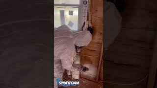 sprayfoaminsulation foam opencell usa contructionwork satisfyingvideo shorts viralshort [upl. by Anoiuq]