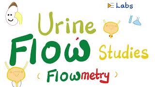 Urinary Incontinence amp Urine retention  Urine flow studies Flowmetry  Urodynamic StudiesUrology [upl. by Asfah]