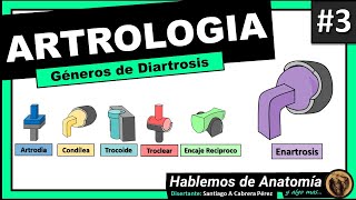 🔴👉 DIARTROSIS  GENEROS 🟩 ARTROLOGIA 3 🟪Hablemos de Anatomía y Algo Mas [upl. by Naejeillib]