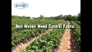 Biodegradable non woven weed control fabric [upl. by Irmine416]