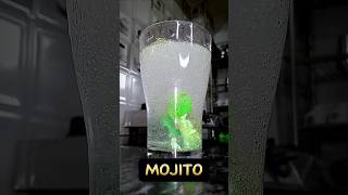 Mojito mocktail 🍹😋 minivlog vlog daily food trending cooking mojito drink shorts [upl. by Oruam]