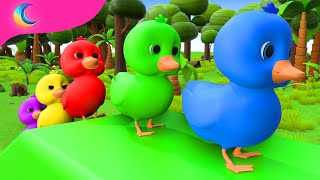 Five Little Ducks  Kids Songs  BluLoo Nursery Rhymes amp Kids Songs [upl. by Aihseyn920]