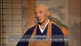 Sagesses Bouddhistes  Le 2ieme voeu du bodhisattva [upl. by Warfield119]