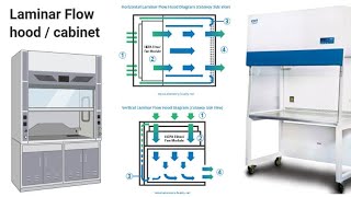 laminar flow hood how to transfer sample inside the hood genetics cytogenetics [upl. by Norreg]