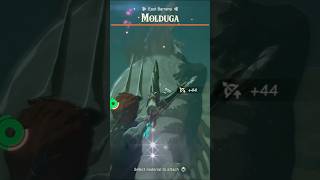 INSANELY Quick Molduga Fight music gaming gameplay beats totk zelda [upl. by Gnouhk]