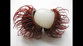 12 proven health benefits of rambutan [upl. by Eustace]