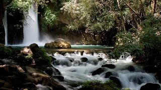 Israel Jesus Trail Nimrod Fortress and Banias waterfall [upl. by Vania]