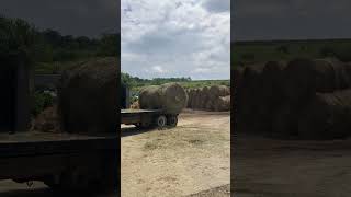 hauling round bales [upl. by Atnom]