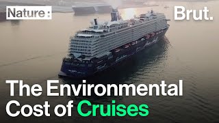 The Environmental Cost of Cruise Ships [upl. by Jamaal]