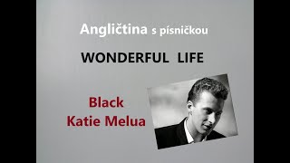 Angličtina pro mírně pokročilé s písničkou WONDERFUL LIFE kurz angličtiny na YouTube [upl. by Kcinimod]