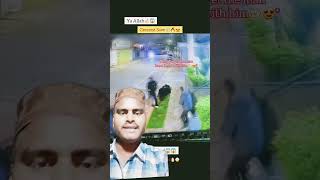 👉kutta 🐕wafadar hota hai greenscreen reaction videoviral trending shortvideo [upl. by Farl596]