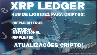 Custódia InstitucionalRippleBittrue 🗽🌊 Atualizações Cripto🚀🚀🚀 [upl. by Inalaehak]