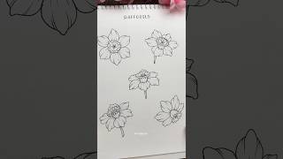 Daffodil drawing🌼drawing flowerdrawing flowers reel artreels viralart drawingtutorial draw [upl. by Sura45]