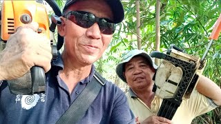 TULONG AKI NANGKA PUTONG KAYU API DI HUTAN  UNTUK KEGUNAAN DI PONDOK KEBUN [upl. by Niriam408]