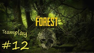 The Forest Teamplay 12 Base Verteidigung verbessern Lets Play Deutsch HD [upl. by Ahtnama]