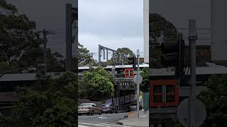 D Set Mariyung train approaching Hurstville station 16112024 sydneytrains [upl. by Otrebmal]