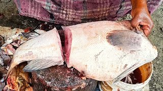 Hamour Fish Cutting Fantastic Skills  Expert Fish Cutter  Amazing Cutting Skills [upl. by Minier476]