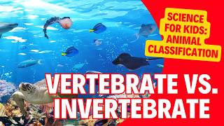 The Animal Kingdom Classification of Vertebrates amp Invertebrates  Kids Science Lesson [upl. by Melina629]