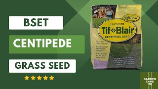 Top 5 Best Centipede Grass Seed 2024 Updated [upl. by Anilah]