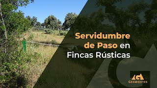 Servidumbre de Paso en Fincas Rústicas [upl. by Walls914]