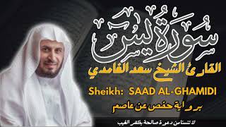 القارئ الشيخ  سعد الغامدي سورة يس كاملة  Sourat Yassin Sheikh SAAD ALGHAMDI [upl. by Giule]