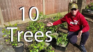 Pruning Silver Birch Bonsai [upl. by Niltac]