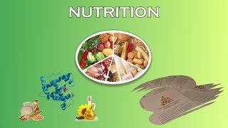 Sports Nutrition For Young Athletes Nutritional Assessment [upl. by Nehtanhoj]