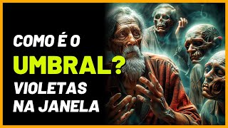 Como é o Umbral  Segundo os espíritos da obra Violetas na Janela [upl. by Idnil252]