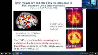 Long COVID and Long Lyme Neuropsychiatric Implications by Brian Fallon MD MPH  Lyme Summit 2023 [upl. by Hull770]