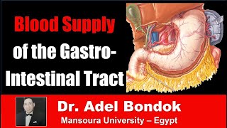 Blood Supply of the Gastrointestinal Tract Dr Adel Bondok [upl. by Annairba]