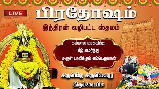 🔴Live Pradosham  பிரதோஷம் அருள்மிகு அருளீஸ்வரர் திருக்கோயில்  இந்திரன் வழிபட்ட ஸ்தலம் Abhishekam [upl. by Buzz487]