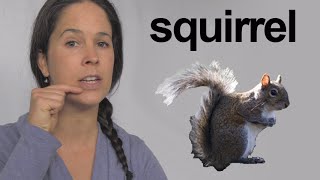 How to Pronounce Squirrel  American English Pronunciation [upl. by Atinot]