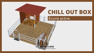 CHILL OUT BOX pour écurie active [upl. by Naghem207]