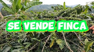 Finca Cafetera en venta Garzón Huila Colombia [upl. by Cayla]