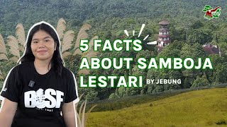 5 FACTS ABOUT SAMBOJA LESTARI [upl. by Rufena]