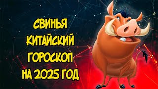 СВИНЬЯ Китайский Гороскоп на 2025 год [upl. by Goodkin]