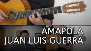 Amapola Juan Luis Guerra Guitarra Cover Mauro Martinez [upl. by Ramin]